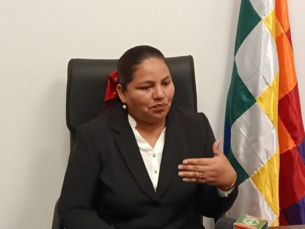 Regulación de precios por la diputada Deisy Choque