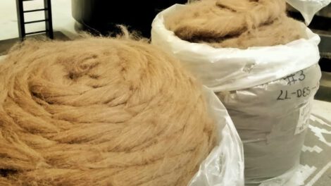 Exportación de fibra de llama a China por Yacana