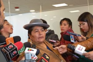 disposición adicional séptima del PGE según Gloria Callizaya