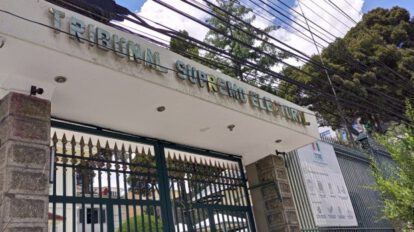 Encuestas preelectorales no están siendo reguladas por el OEP