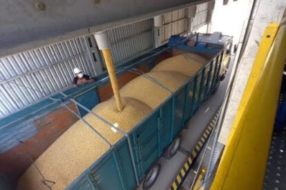 Emapa y productores en emergencia por falta de entrega de maíz