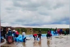 Desborde del río Katari inunda Coachijo y afecta la agricultura