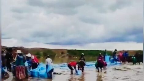 Desborde del río Katari inunda Coachijo y afecta la agricultura