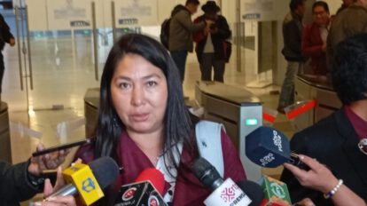 Retrasos en contratos de litio según la diputada Rosario García