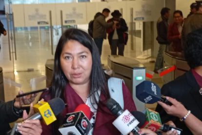 Retrasos en contratos de litio según la diputada Rosario García