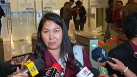 Retrasos en contratos de litio según la diputada Rosario García