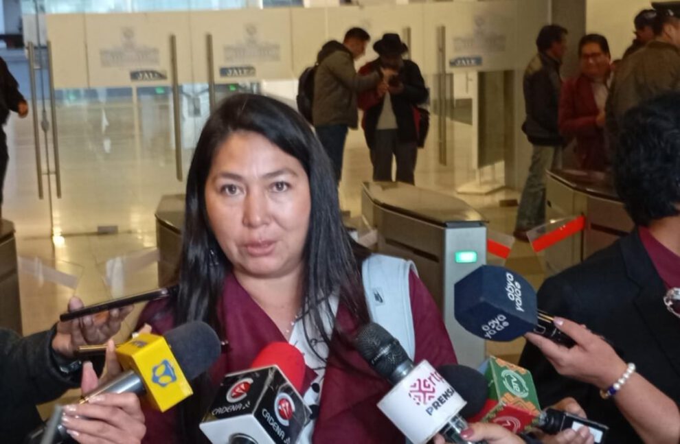 Retrasos en contratos de litio según la diputada Rosario García