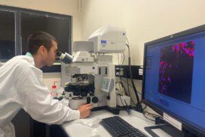 Fecundación in vitro canguro en laboratorio