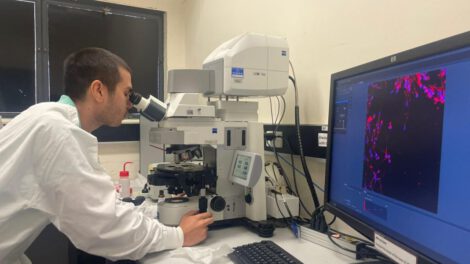 Fecundación in vitro canguro en laboratorio