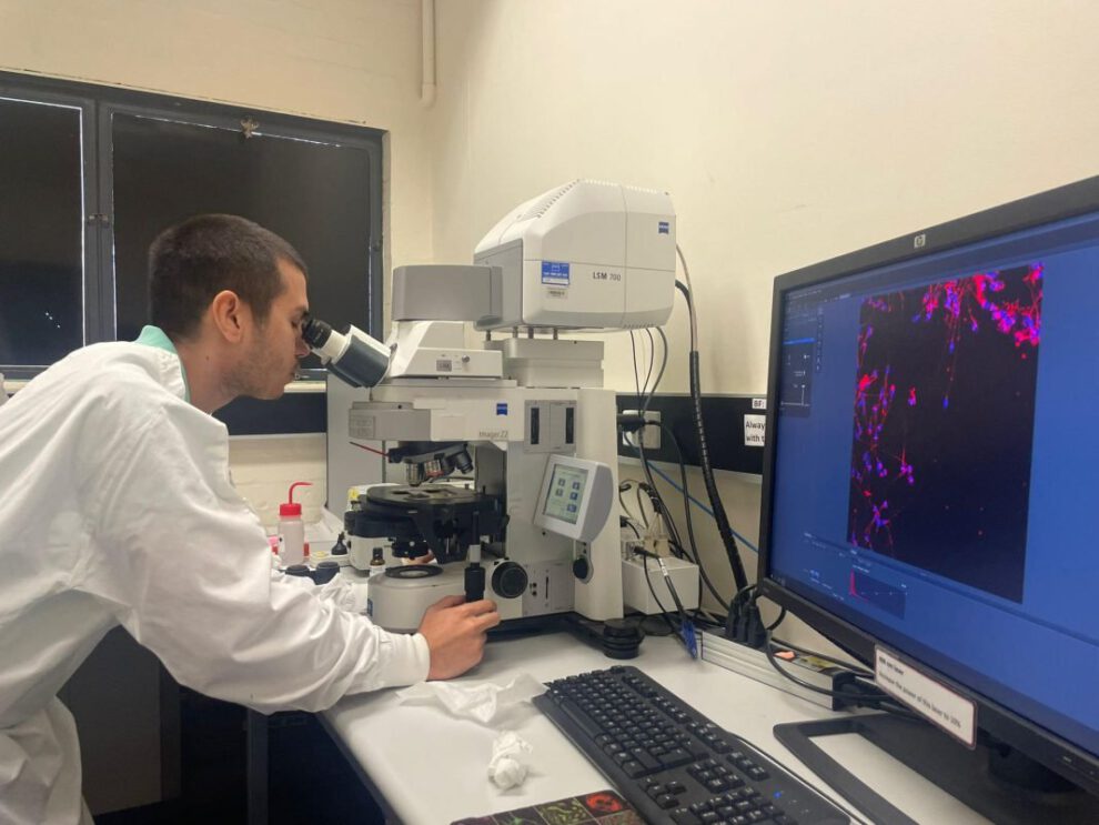 Fecundación in vitro canguro en laboratorio