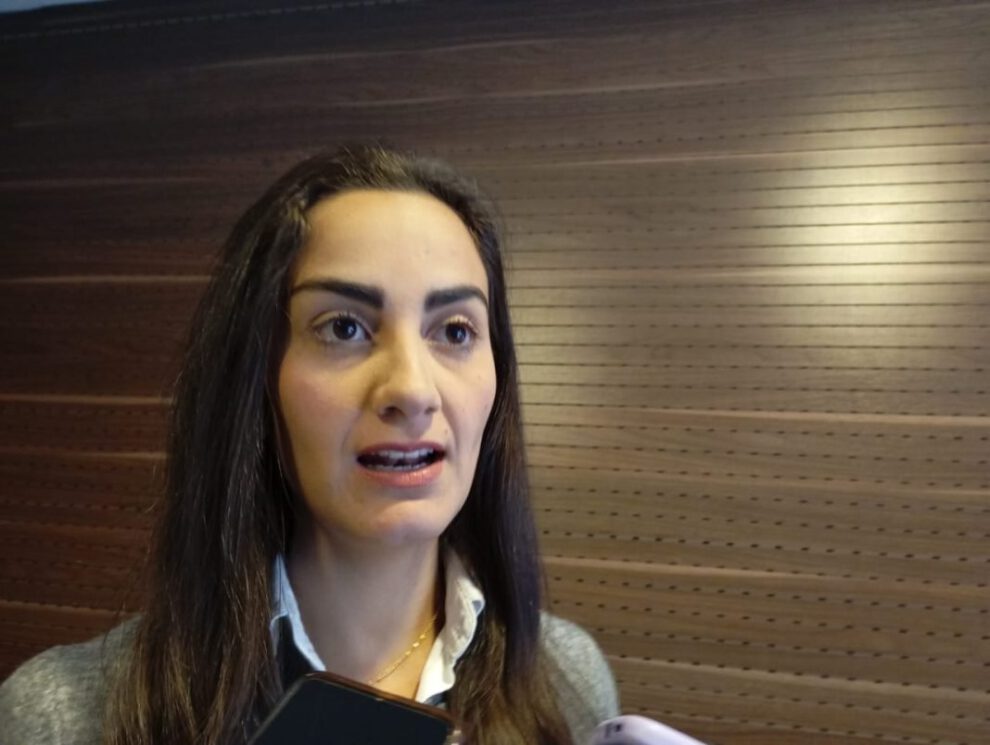 Prohibición de exportación de carne de res criticada por Luisa Nayar