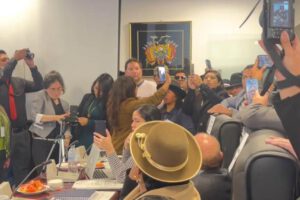 Sesión de comisión sobre contratos de litio