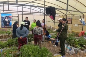 Reclusas de La Merced cultivan hortalizas en carpa solar