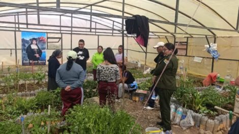 Reclusas de La Merced cultivan hortalizas en carpa solar