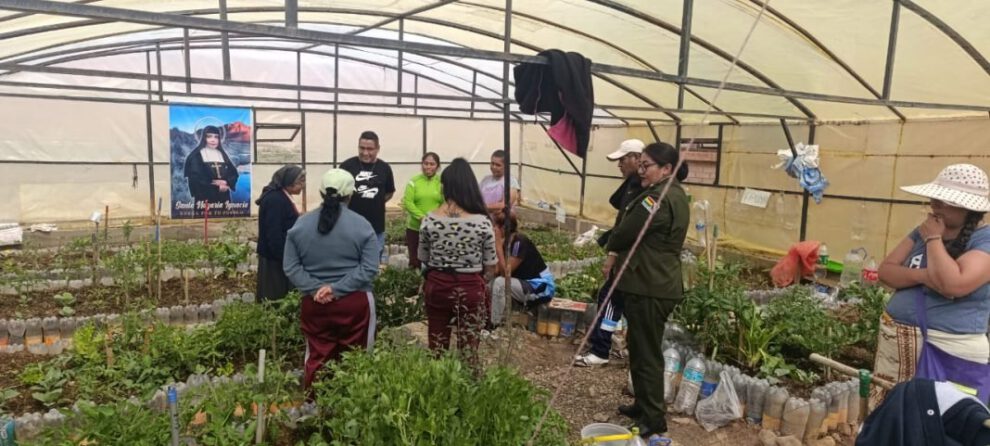 Reclusas de La Merced cultivan hortalizas en carpa solar