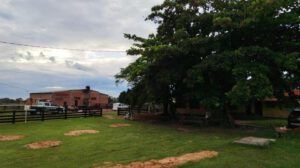 Asalto a lechería en Santa Cruz