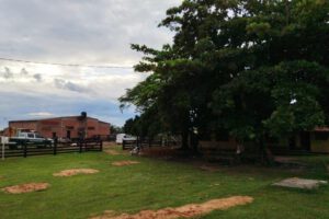 Asalto a lechería en Santa Cruz