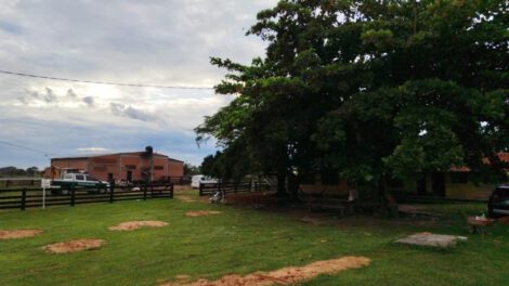 Asalto a lechería en Santa Cruz