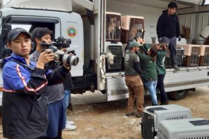 Cierre de criaderos de perros en Corea del Sur