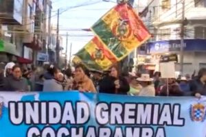 Gremiales movilizaciones Bolivia