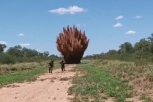 Desmantelan pista clandestina para tráfico de drogas en Chuquisaca