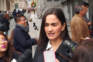 Programa de gobierno propuesto por Luisa Nayar