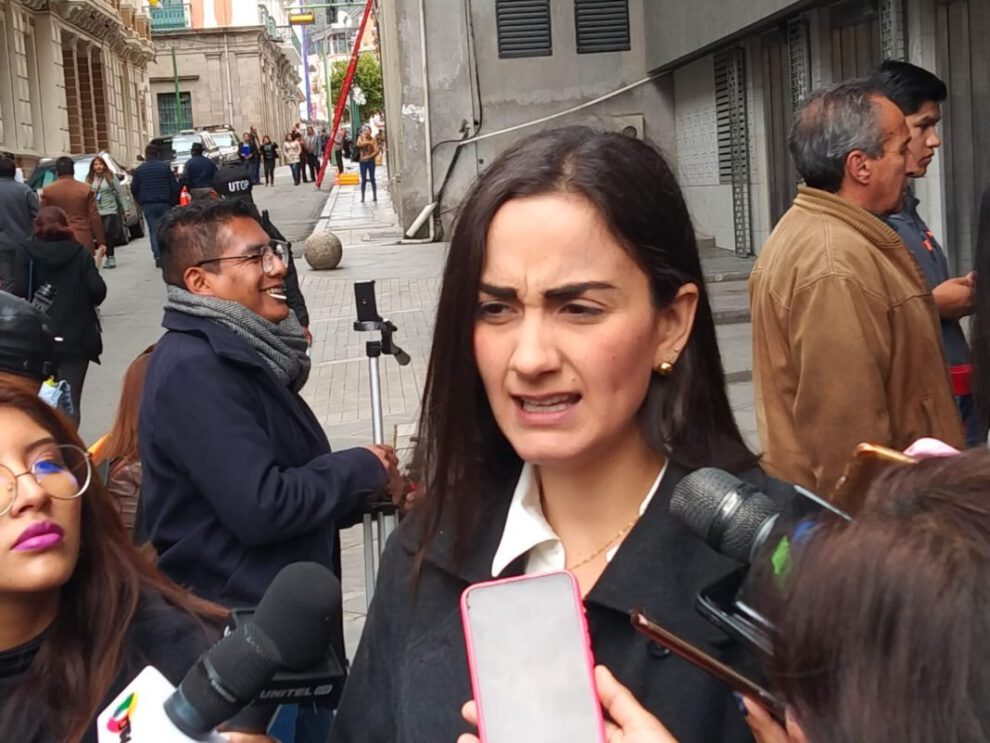 Programa de gobierno propuesto por Luisa Nayar