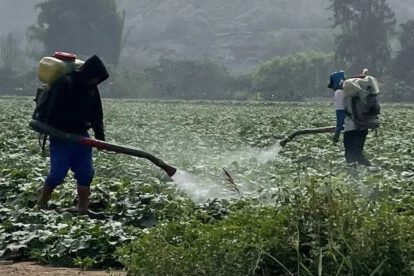 Plaguicidas y biodiversidad global