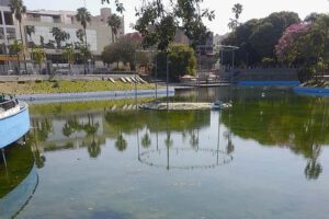 Mal estado de la laguna del parque El Arenal