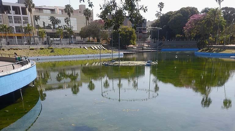 Mal estado de la laguna del parque El Arenal