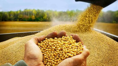 Exportación de soya y su impacto en los productores