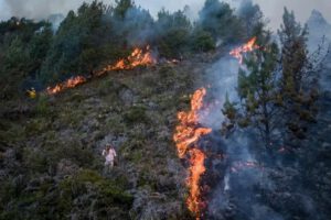 Desastres climáticos en Sudamérica