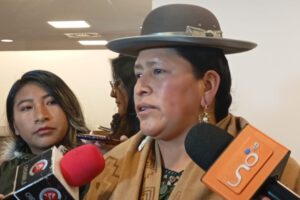 Paridad de género en candidaturas presidenciales según Virginia Velasco