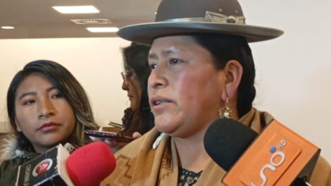 Paridad de género en candidaturas presidenciales según Virginia Velasco