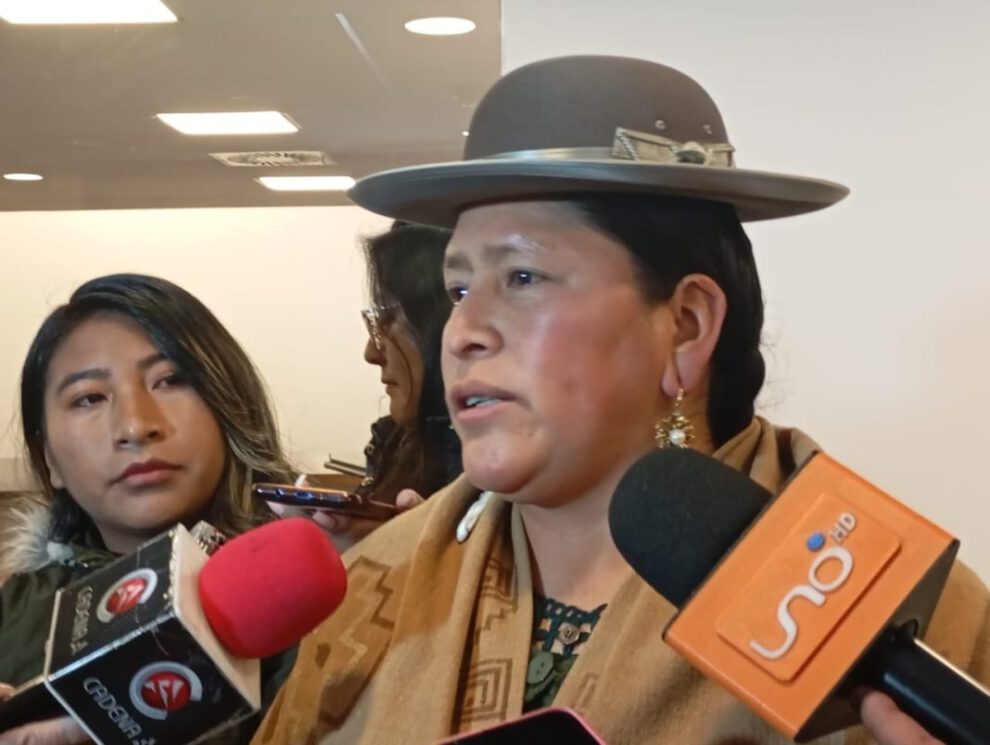 Paridad de género en candidaturas presidenciales según Virginia Velasco