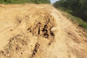 Caso carretera Sachojere - Loreto