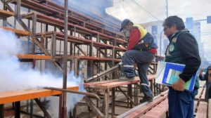 fumigación de graderías del Carnaval tras hallazgo de arañas viudas negras