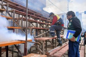 fumigación de graderías del Carnaval tras hallazgo de arañas viudas negras