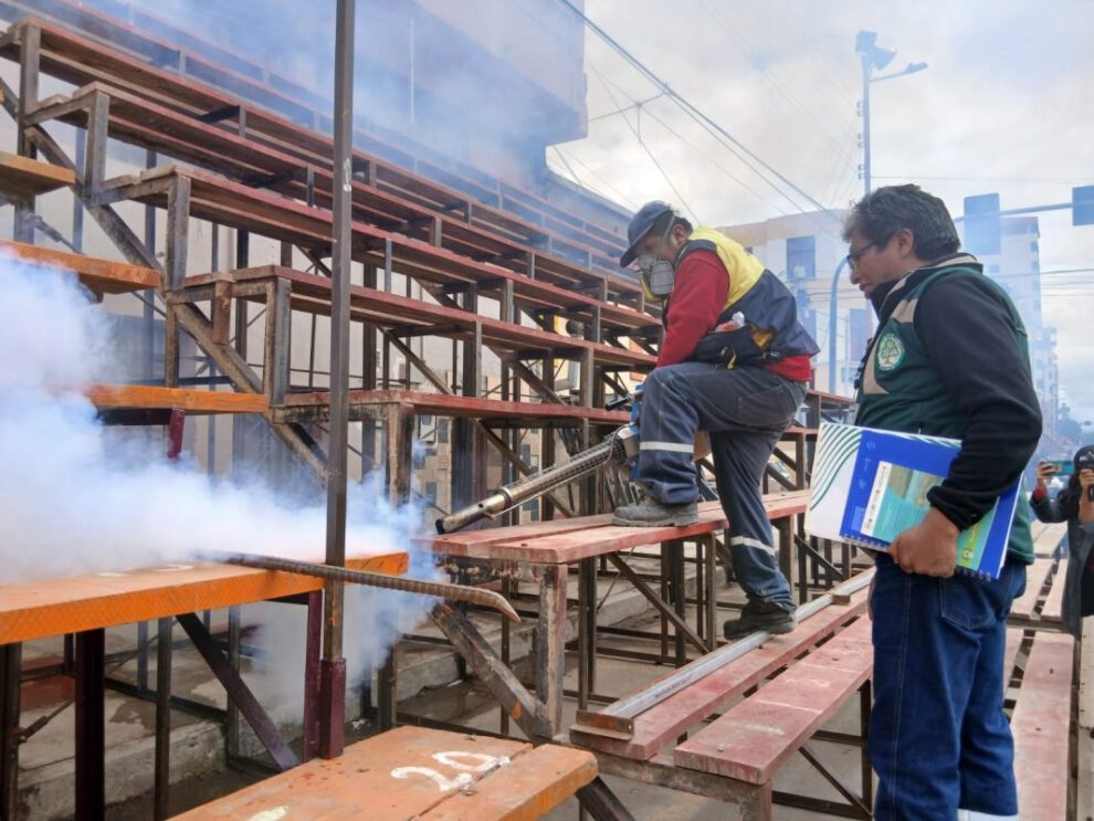 fumigación de graderías del Carnaval tras hallazgo de arañas viudas negras