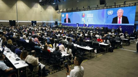 COP16 de Biodiversidad en Cali, Colombia