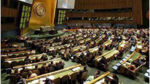 Consejo de Derechos Humanos de la ONU con Luis Arce