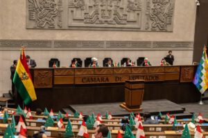 Falta de consenso en la Cámara de Diputados