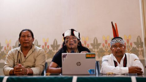 Deforestación amenaza a los ayoreos en aislamiento