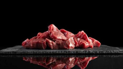 exportar carne de llama a Estados Unidos
