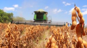 exportación de soya
