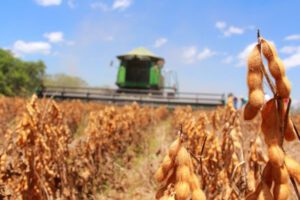 exportación de soya