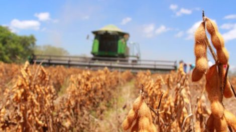 exportación de soya