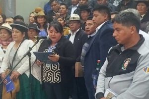 Reelección de Luis Arce y contratos para litio