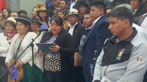 Reelección de Luis Arce y contratos para litio