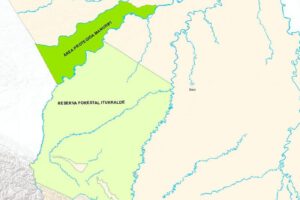 Suspensión de actividad minera ilegal en reservas Manuripi e Iturralde